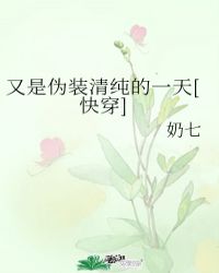 ����αװ�崿��һ��[�촩]