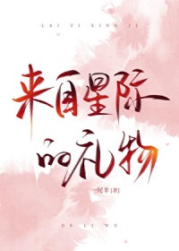 �����Ǽʵ�����